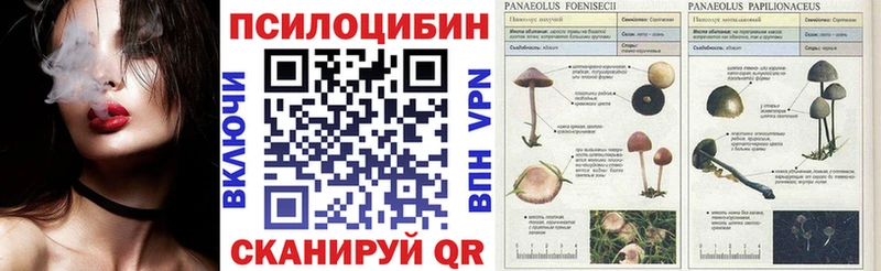 Галлюциногенные грибы Cubensis  Дно 